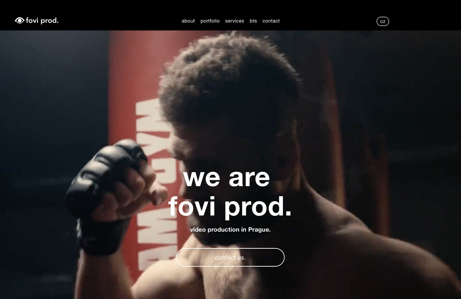 Náhled webu FOVI PROD