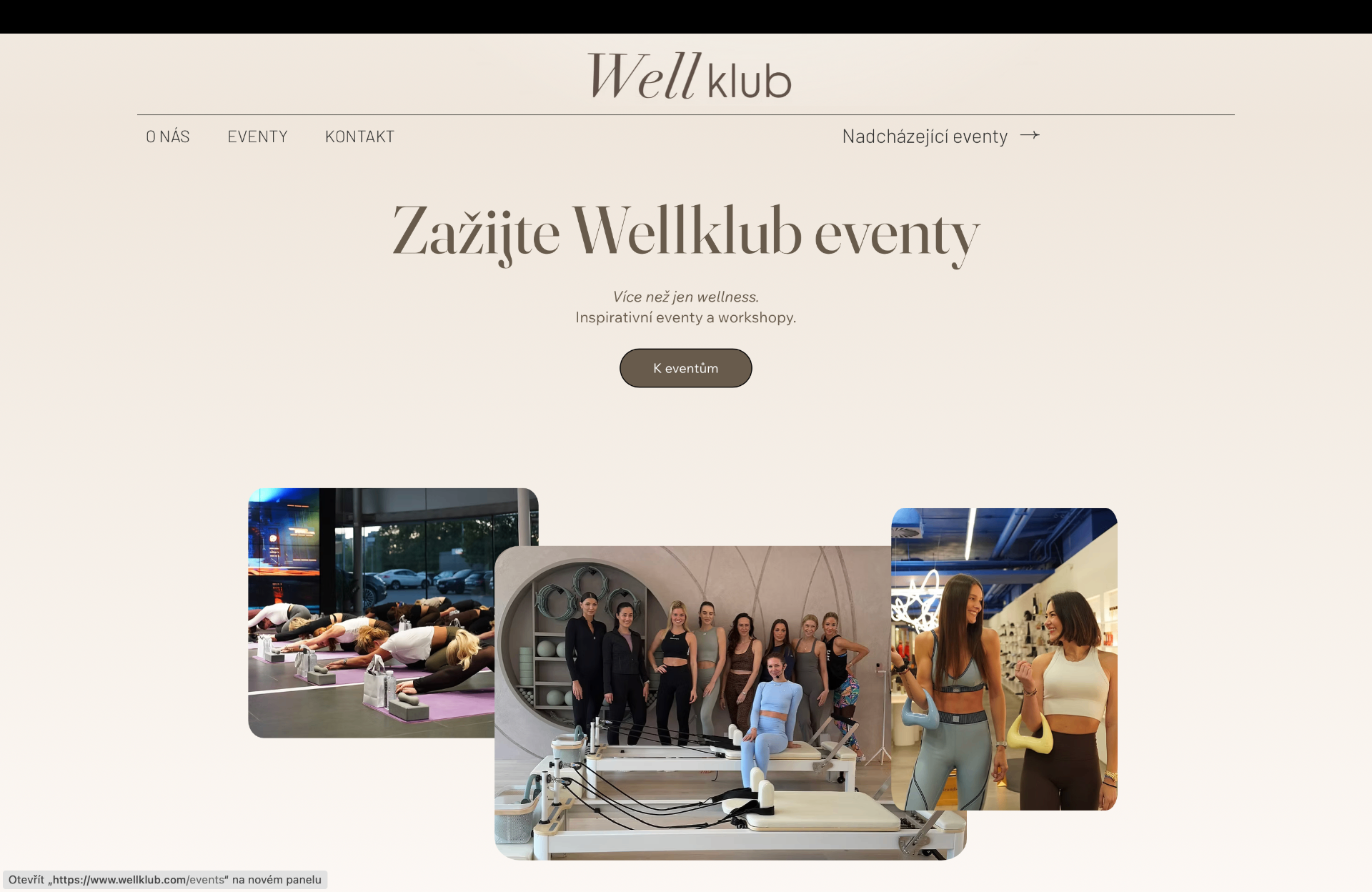 Náhled webu WELLKLUB